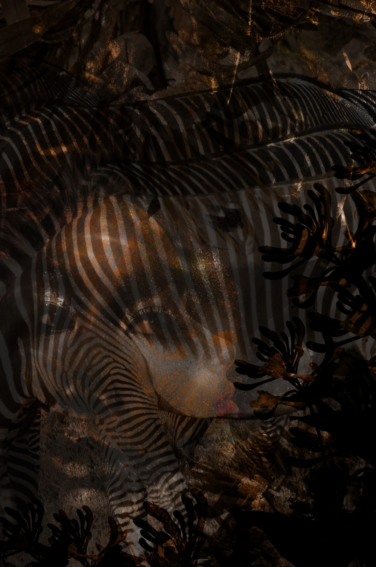 Blurred Memories