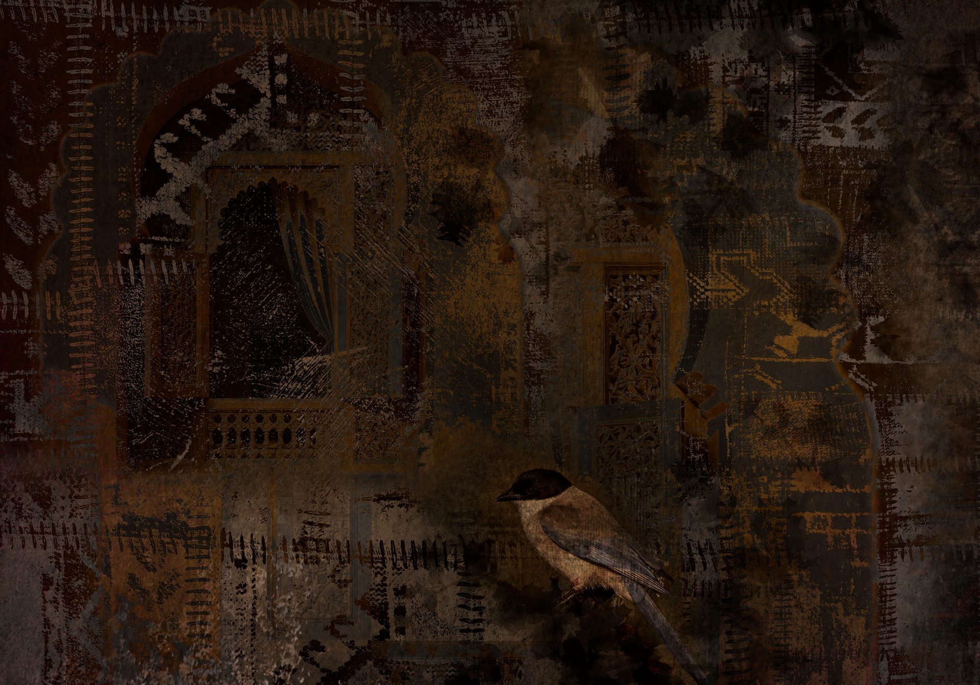Birdlike Freedom